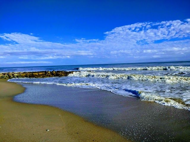 Edisto Beach State Park